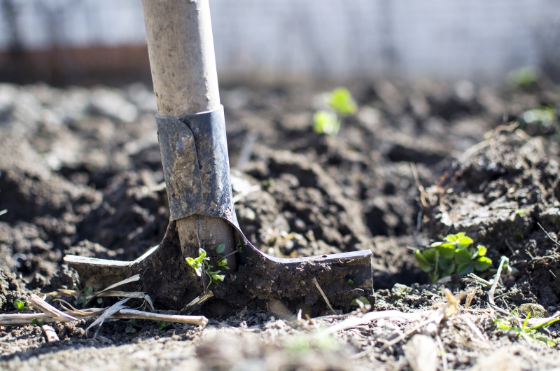 jardinerie-SOLLIES PONT-min_equipment-2047314